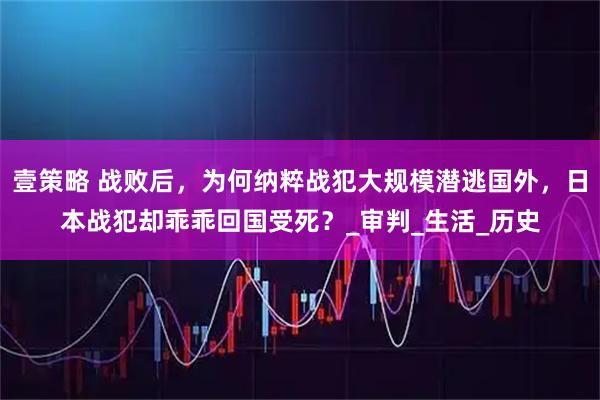 壹策略 战败后,为何纳粹战犯大规模潜逃国外,日本战犯却乖乖回国受死?_审判_生活_历史