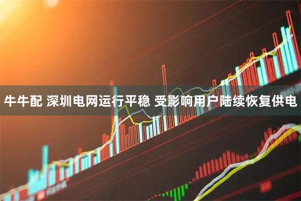 牛牛配 深圳电网运行平稳 受影响用户陆续恢复供电